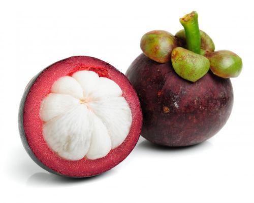 Purple mangosteen